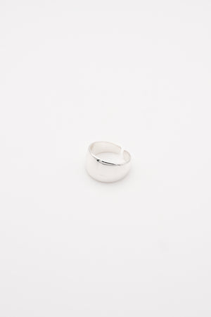Polished Ring