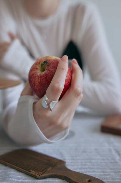 Nuanced silver Ring