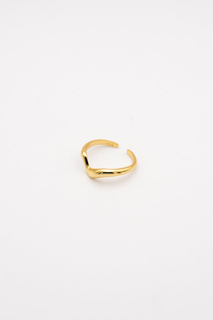 OAO Ring