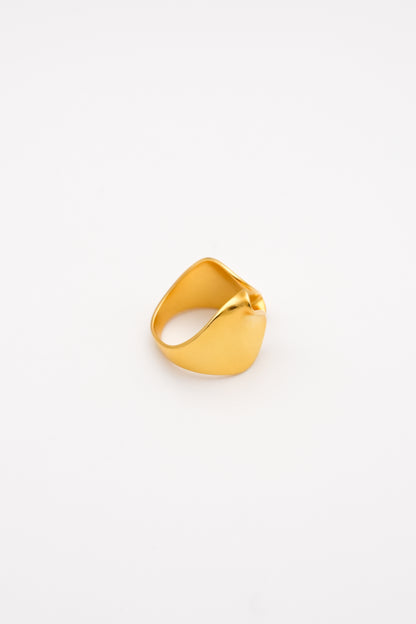Nuanced gold Ring