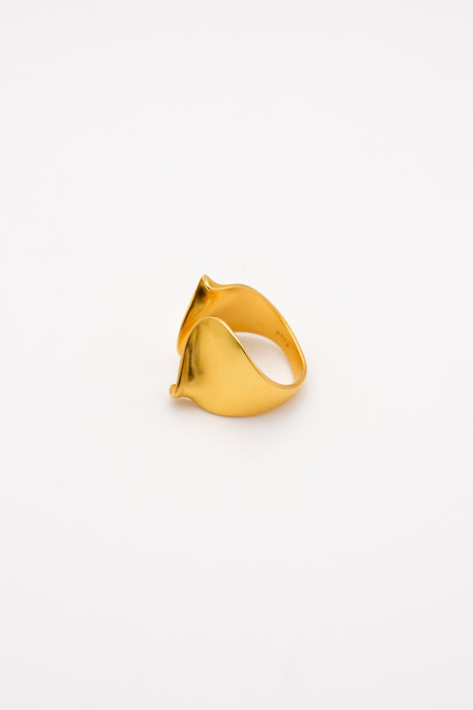 Nuanced gold Ring