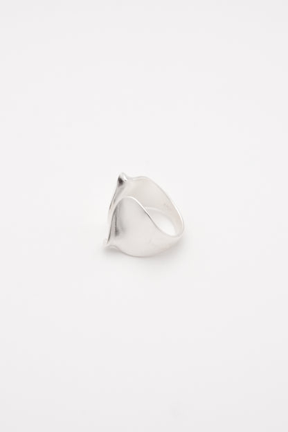 Nuanced silver Ring